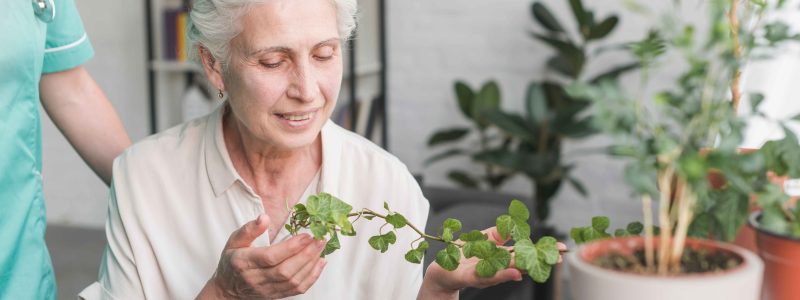 Sustainable Retirement Living